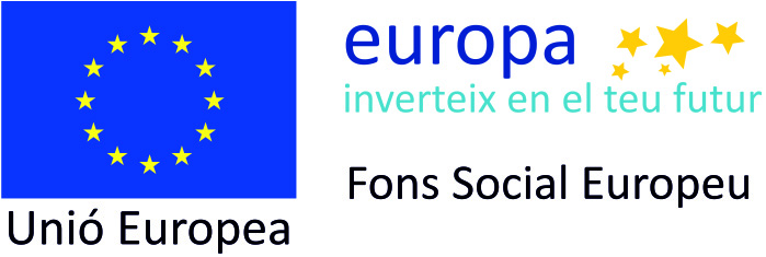 fuente financiacion fondo social europeo